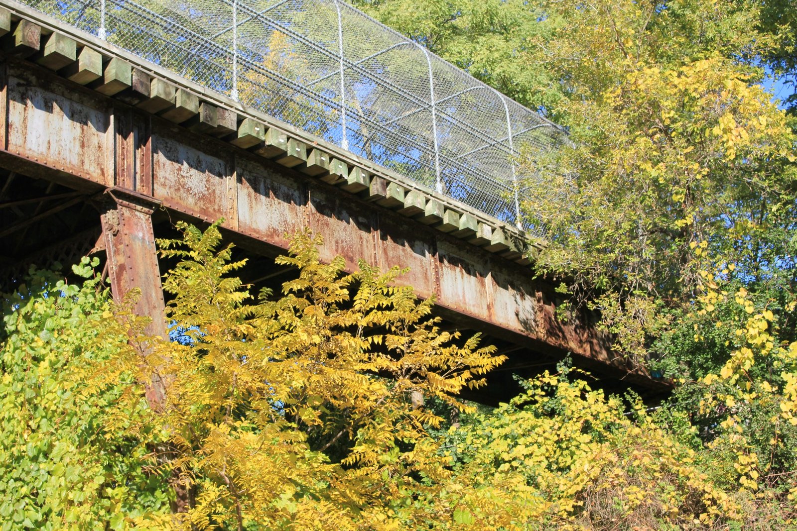 North span